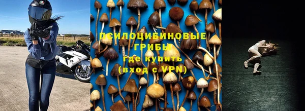 МДМА Алексеевка